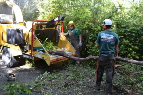 tree services Rupert